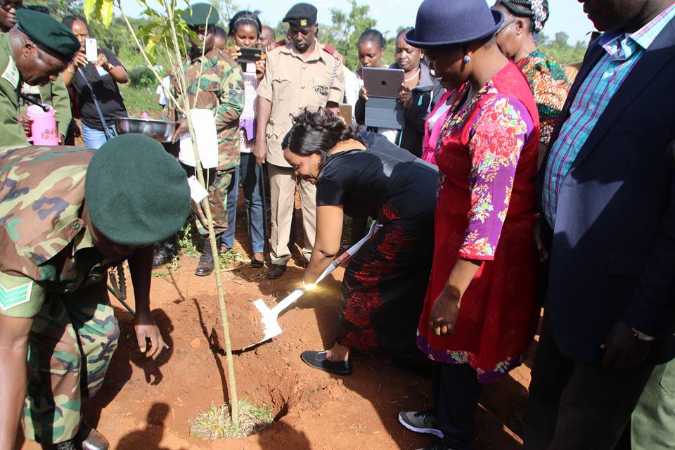 Inaugural Sabor Tree Planting 2017: 50,000 Indigenous Trees Planted to Restore Kaptagat Ecosystem