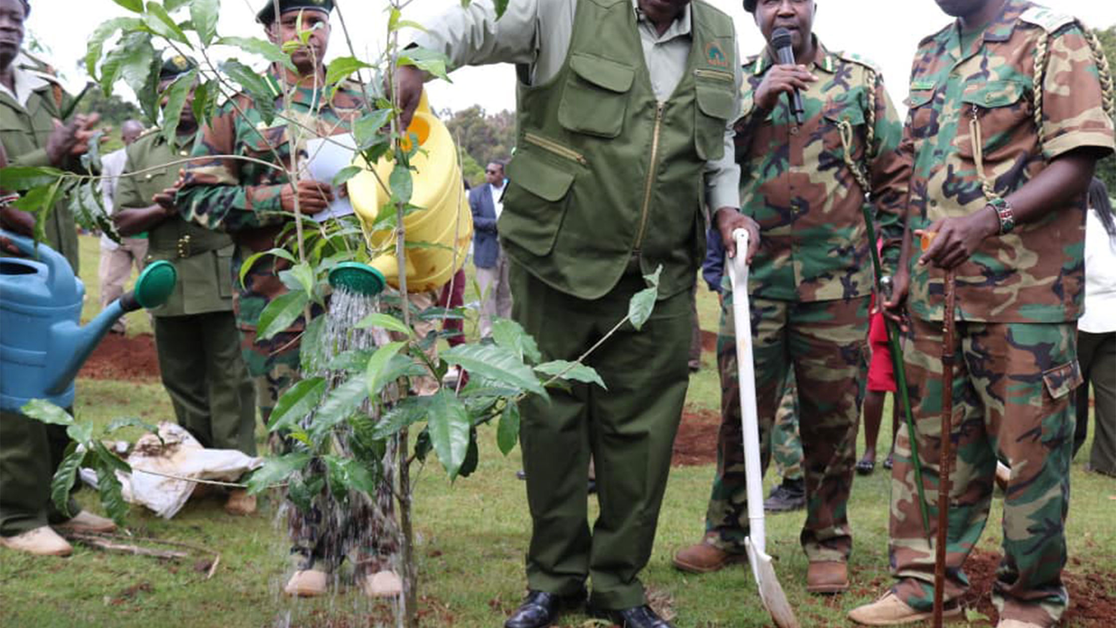 Third Kaptagat Tree Planting Edition 2019: 40 Hectares Restored, 10,000 Avocado Seedlings Distributed, and Junior Marathon Held