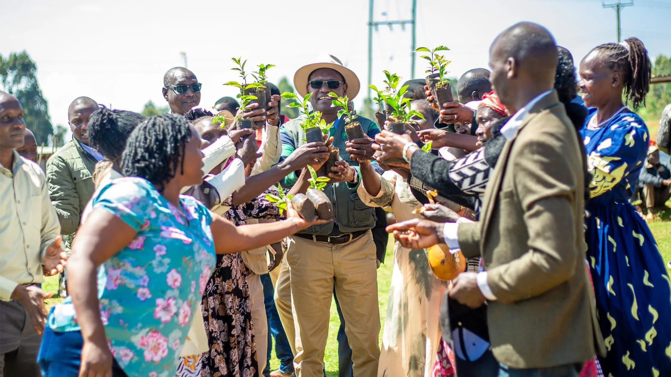 Kaptagat Integrated Conservation Program Supports Coffee Farming Initiative in Keiyo North