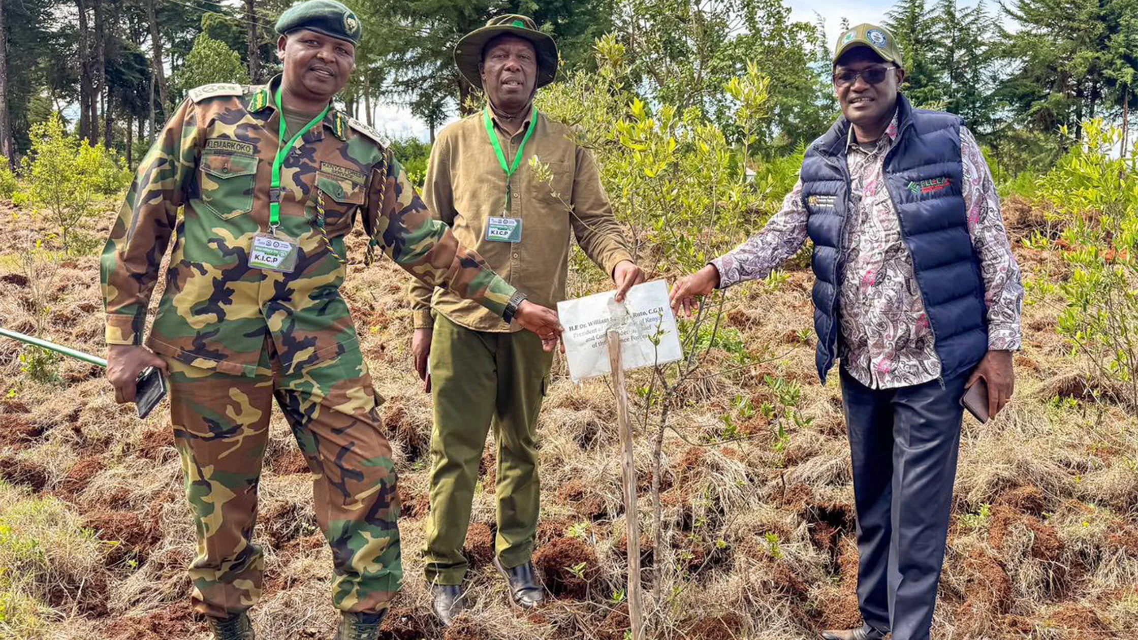 Kaptagat Tree Planting Initiative Shows Strong Growth as Kenya Advances 15 Billion Trees Target