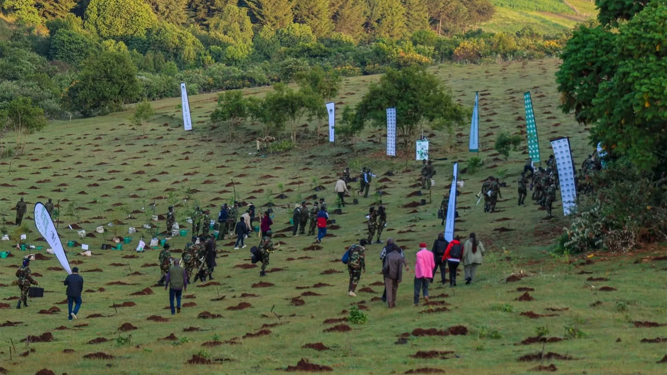 10th Edition of the Kaptagat Restoration Programme Marks a Decade of Forest Restoration and Community Impact