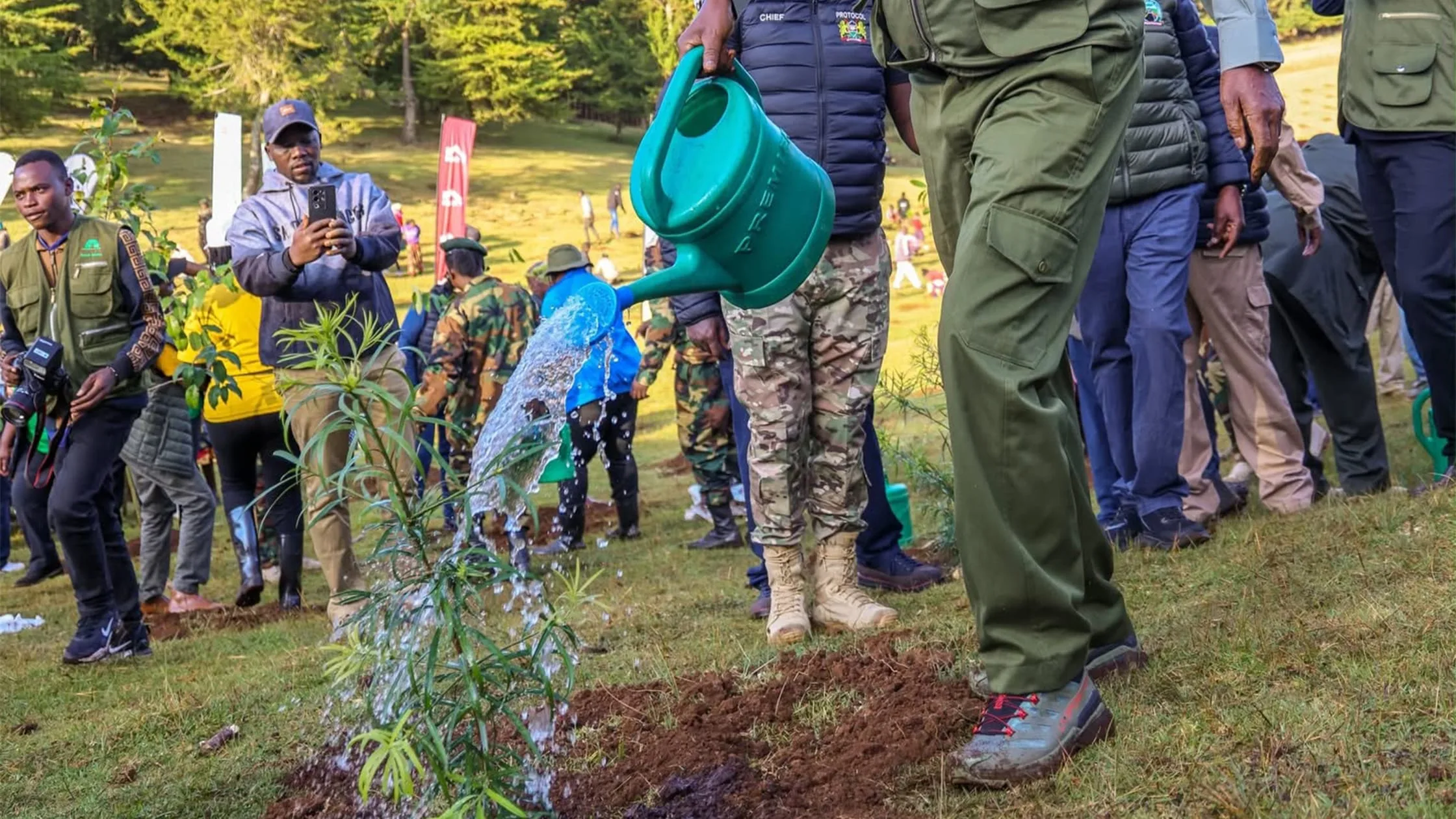 Kaptagat Forest Restoration Completed as KICP Launches Next Phase of Conservation